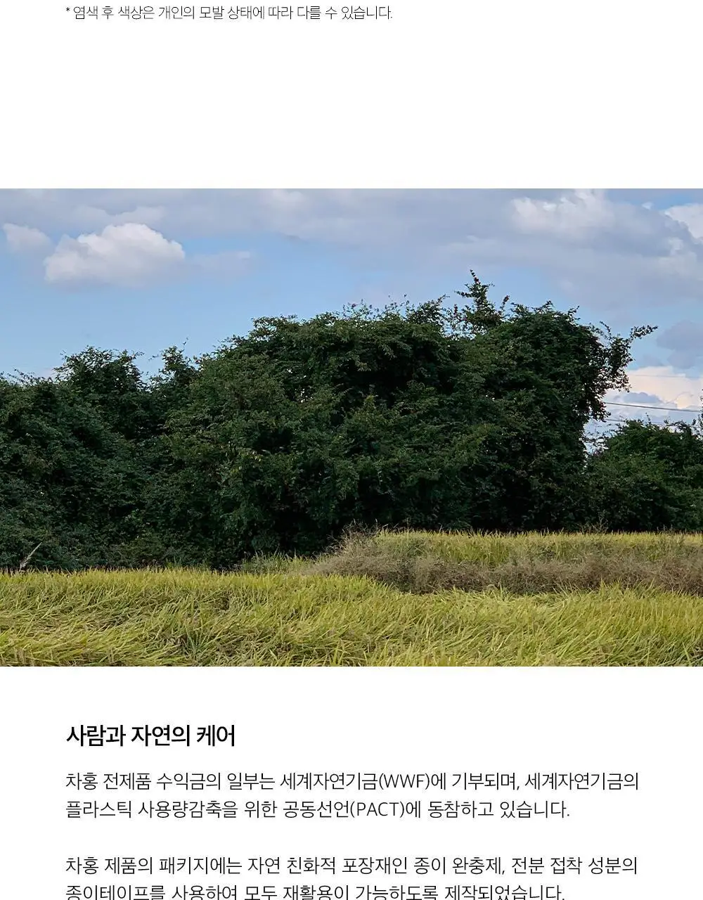 [세련됨] 차홍 오리진 헤어컬러 실버 브라운 Medium 상세페이지 10